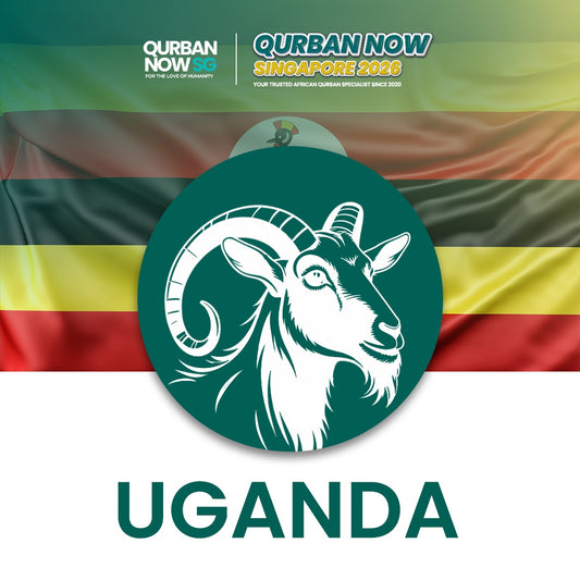 Goat - Uganda